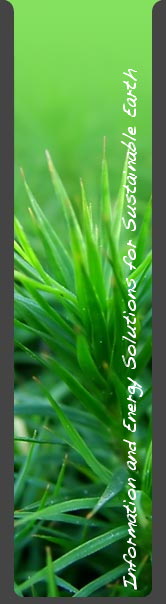 plants